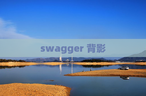 swagger 背影
